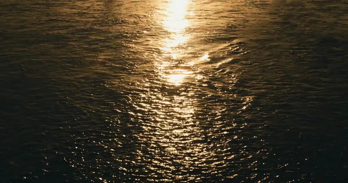 2025'te Kaymaz 3+3+1+1 Koltuk Örtüsü ile Evinizde Güvenlik ve Şıklık