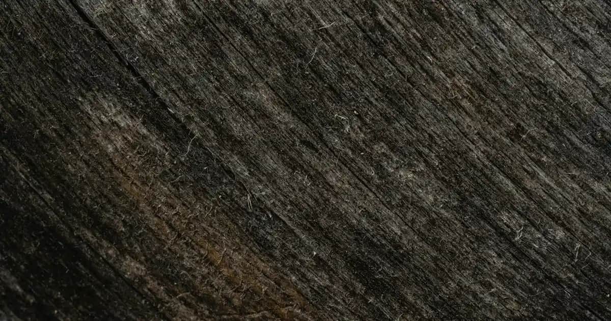 Kaynanadan Gelin İçin Doğum Günü Mesajları ve Kutlama Önerileri