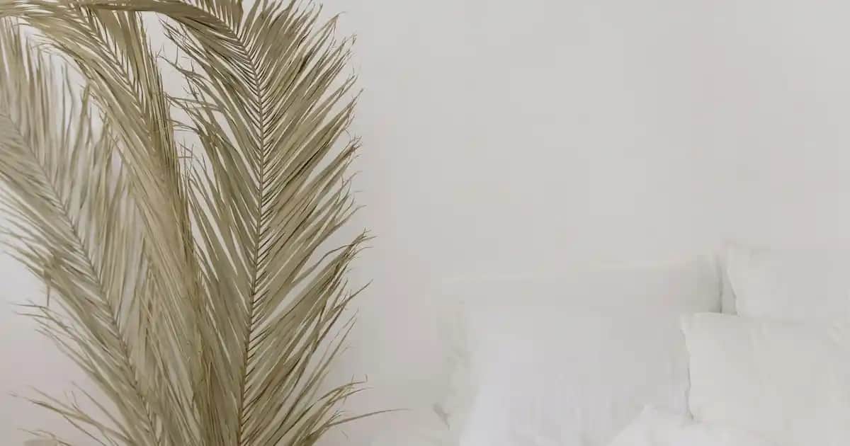 Kaynanaya Çiçek Notu Yazarken Dikkat Edilmesi Gerekenler ve Dekoratif Öneriler