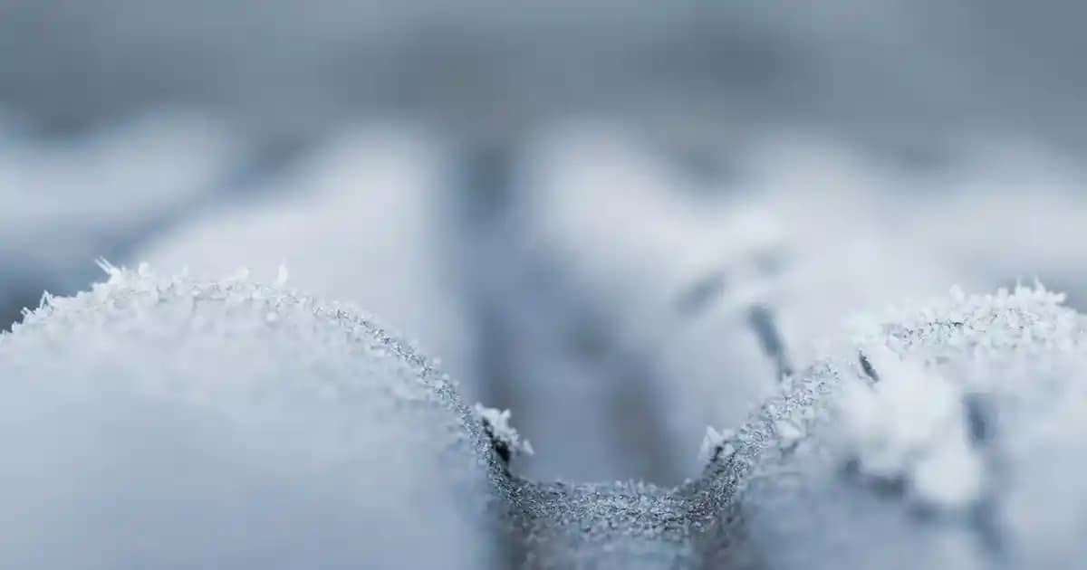 Kesme Halı ile Ev Dekorasyonunuza Şık ve Fonksiyonel Dokunuşlar Yapın