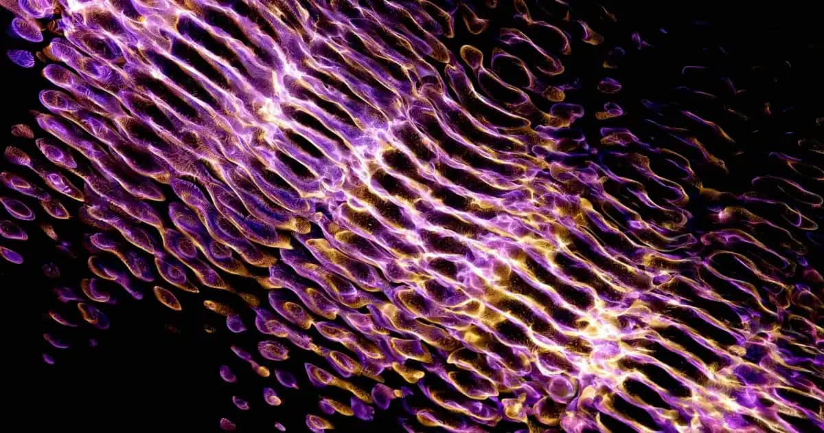 Kırlent Kılıfı Seçenekleri ve Dekorasyonda Kullanım İpuçları