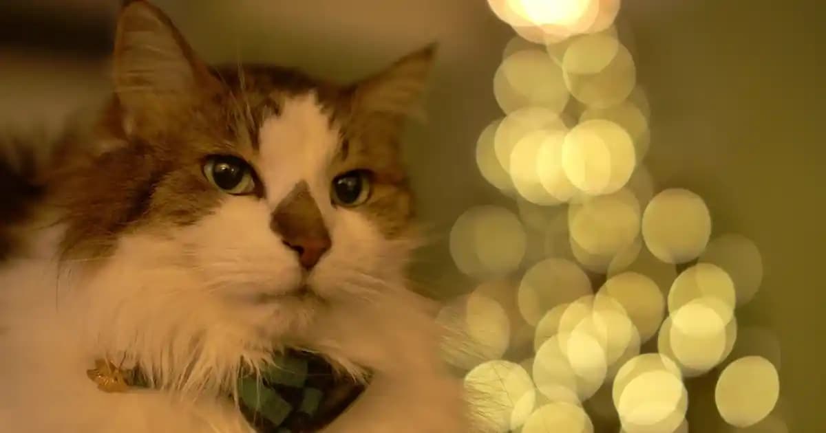 Klasik Lambaderlerle Dekorasyonda Zarafet ve İşlevselliğin Birleşimi