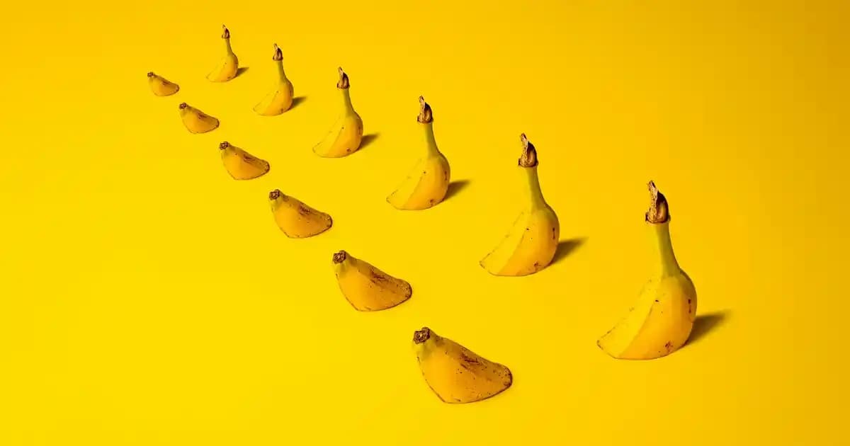 Koltuk Alezi: Mobilya Koruma ve Dekorasyon İçin Pratik Çözümler