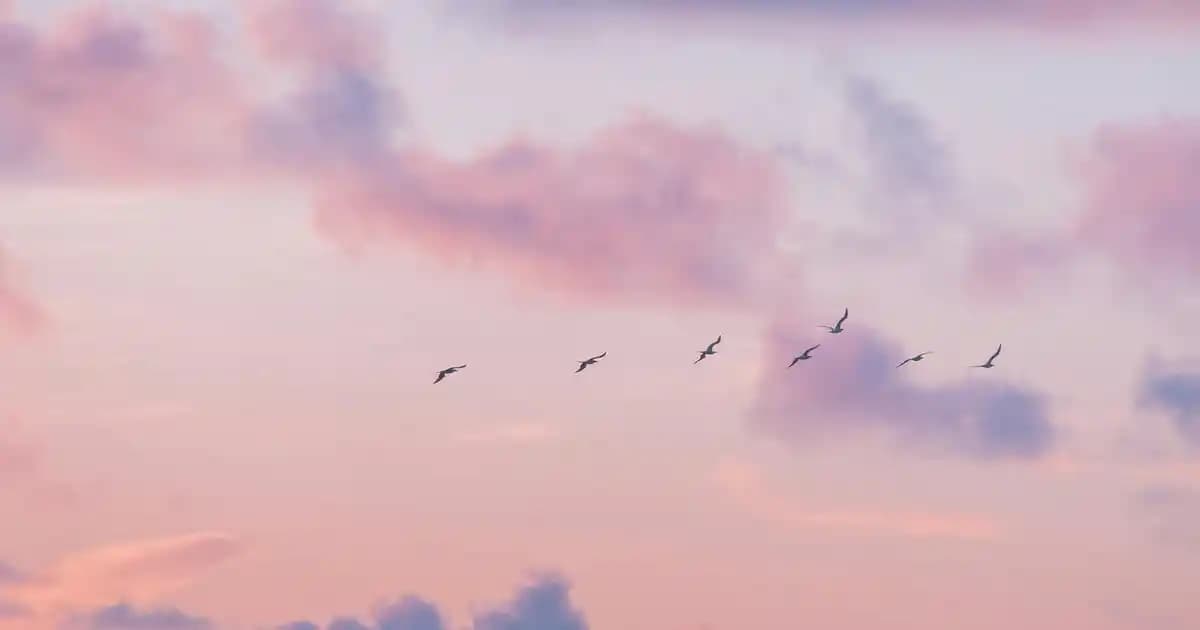 Komodin Dekorasyonunda Şıklık ve Fonksiyonellik için Modern ve Zarif Seçenekler