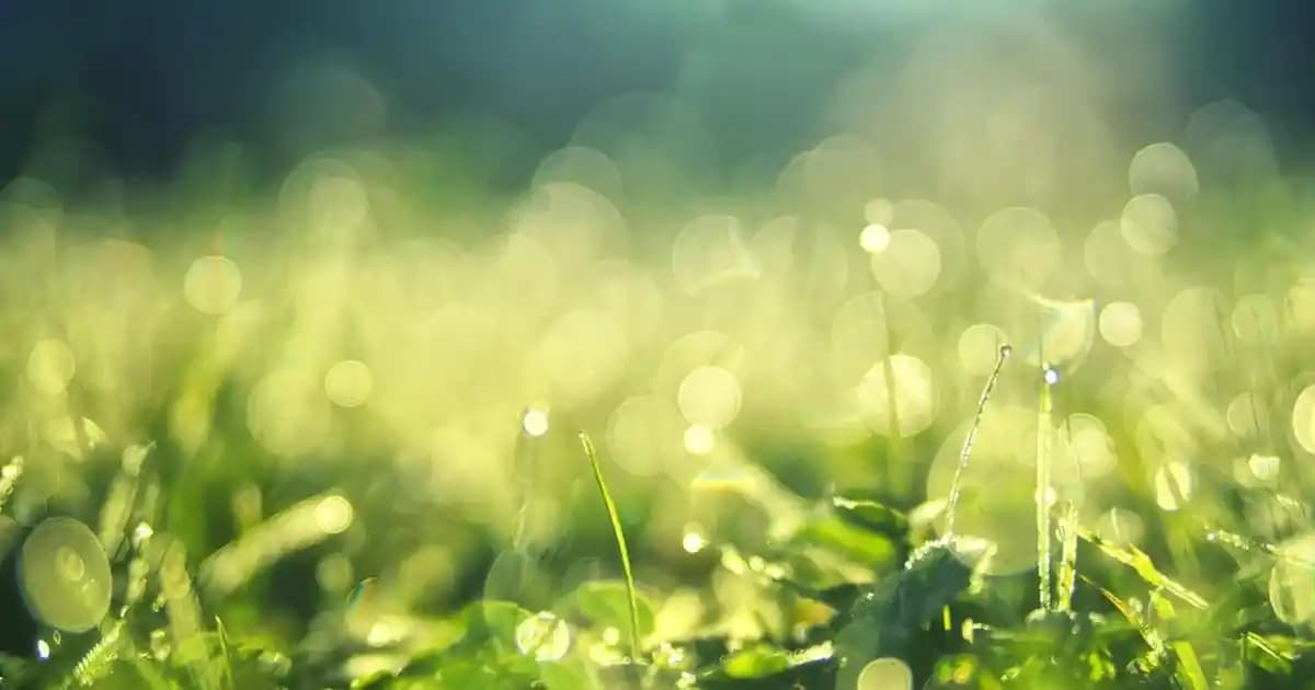 Krem Yastık Kılıfı ile Dekorasyonunuza Zarif ve Şık Bir Dokunuş Ekleyin