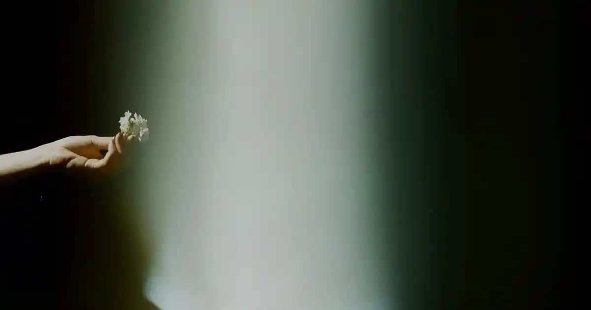 Kristal Salon Avizeleri Dekorasyonda Şıklık ve Fonksiyonelliğin Buluştuğu Seçenekler