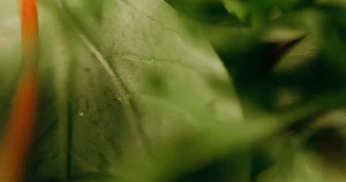 Kum Tablosu Dekorasyonunda Modern ve Şık Tasarımlar ve Kullanım İpuçları