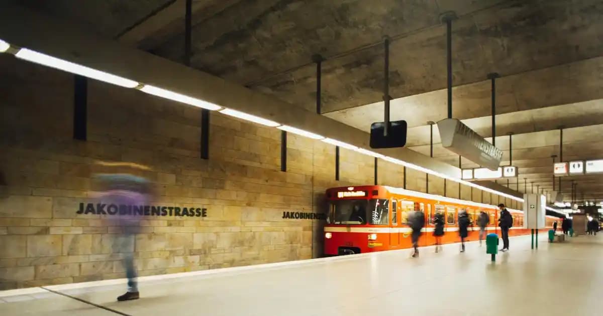 Kuru Dal Dekorasyonuyla Doğal ve Estetik Mekânlar Yaratma Yöntemleri