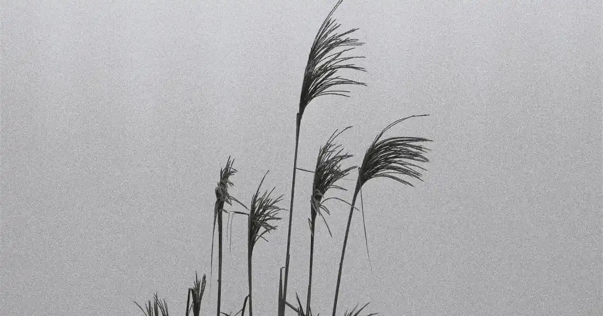 Larina TV Ünitesi ile Modern ve Şık Dekorasyon Çözümleri 75-90 Karakter