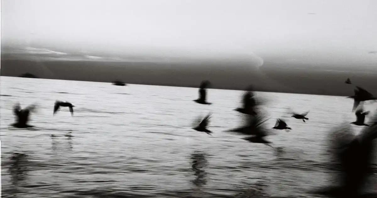 LED Işıklı Aynalar ile Modern ve Fonksiyonel Dekorasyon Çözümleri