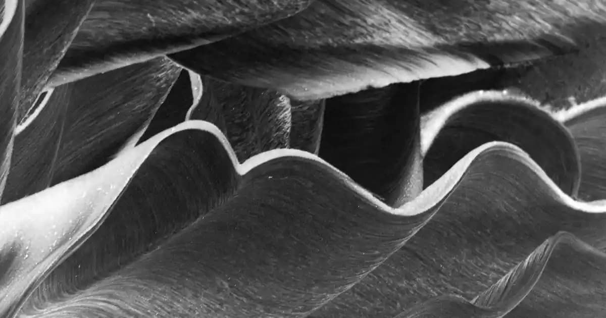 Lucea LED Avizeleri ile Modern ve Şık Dekorasyon Çözümleri