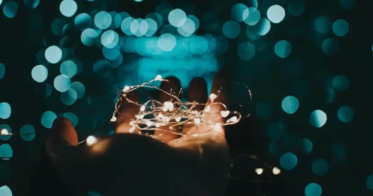 Madam Coco Vazoları ile Evinize Zarafet ve Şıklık Katın Dekorasyon İçin Uygun Modeller