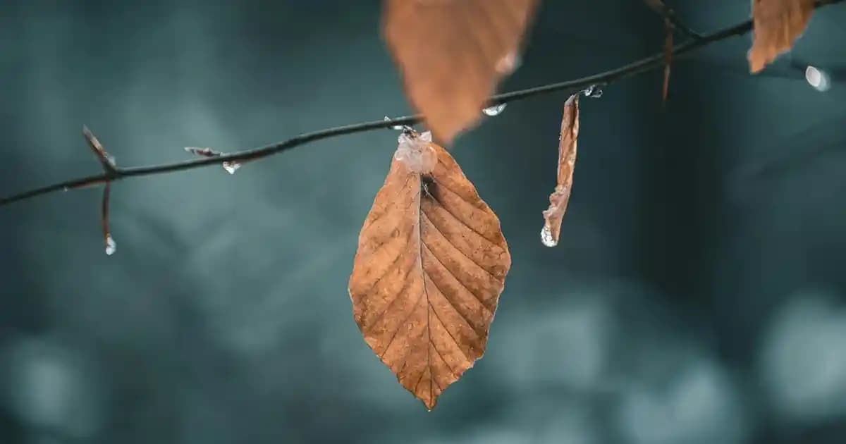 Makrome Aynalar ile Dekorasyonunuzu Yenileyin Estetik ve İşlevselliğin Buluşması