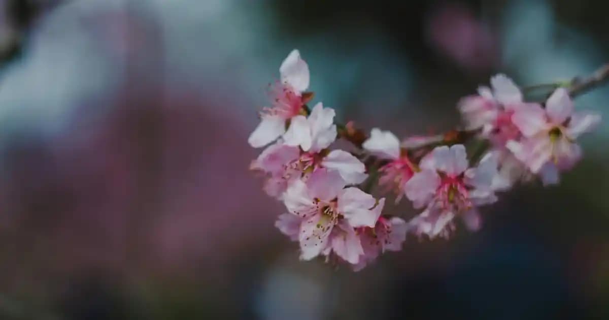 Mama Sandalyesi Altı Örtüsü Seçerken Dekorasyon ve Hijyen Dengesini Kurma Rehberi