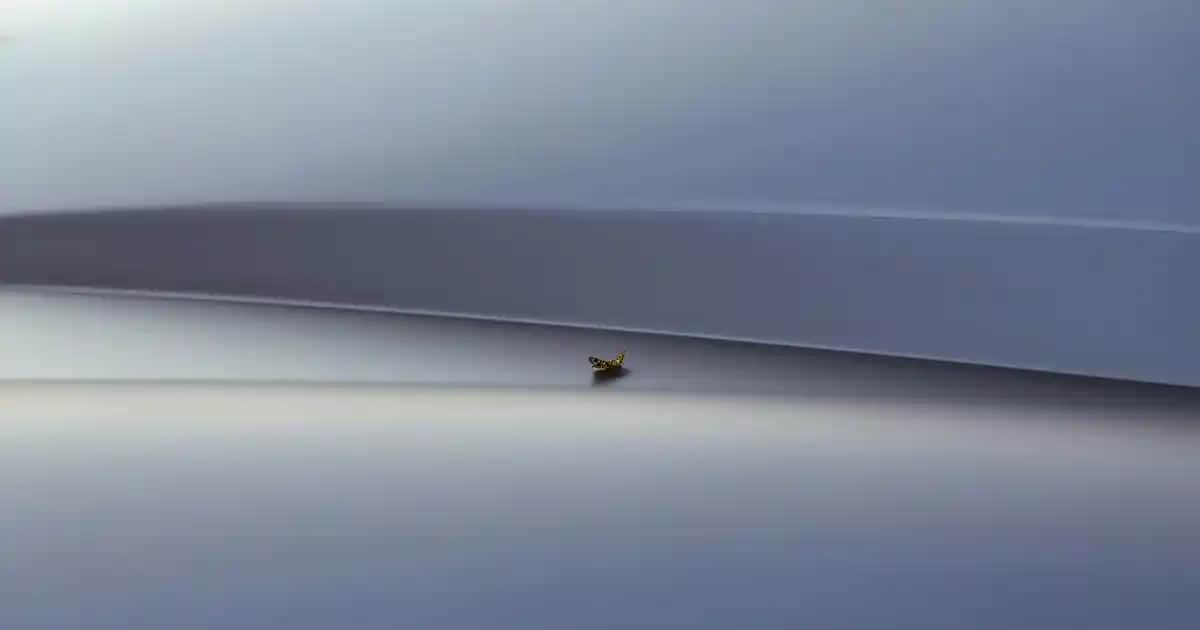 Masaj Yağı Nerede Satılır? Güvenilir Satış Noktaları ve Dekorasyon İpuçları