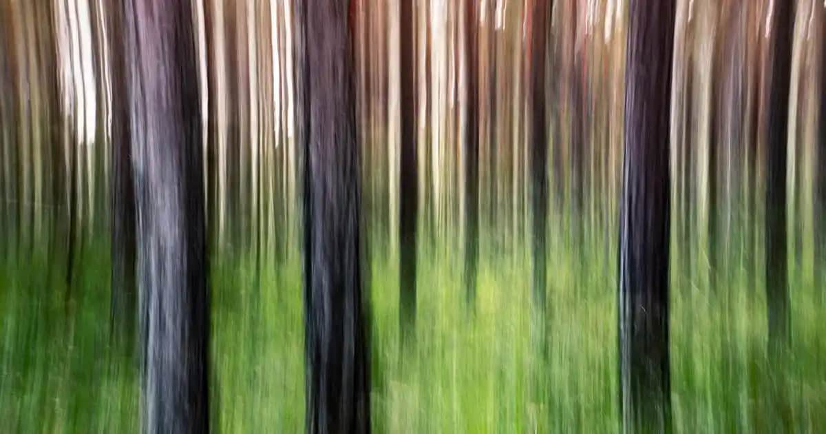 Mermer Sehpa Seçenekleri ve Dekorasyonda Kullanım İpuçları