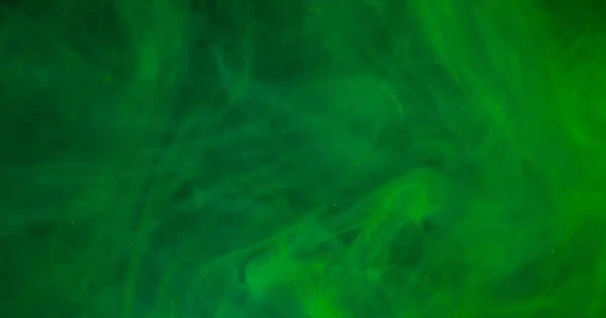 Meşe Rengi Mobilyalar ve Dekorasyonda Kullanım İpuçları