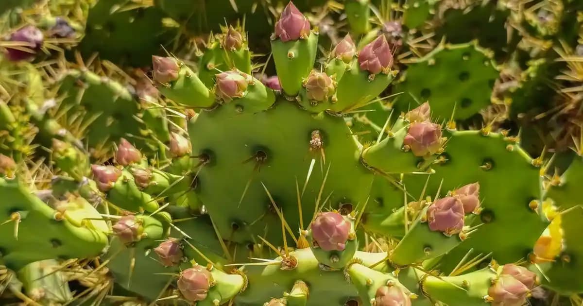 Modern Banyo Halılarıyla Banyonuza Şıklık ve İşlevsellik Katın