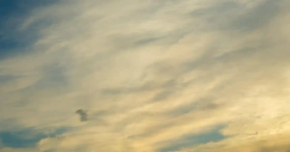 Modern Salon Dekorasyonunda LED Avize Kullanımı ve Fiyat Seçenekleri