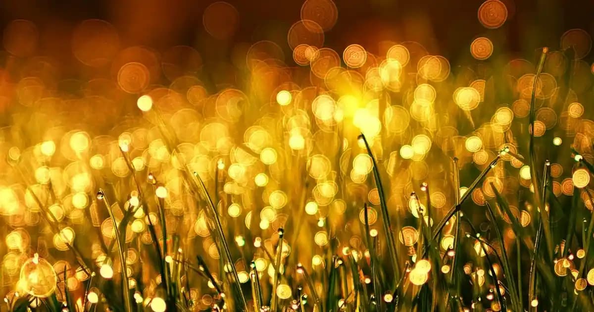 Mor Renkli Mobilyalarla Zarif ve Modern Dekorasyon Çözümleri | Violet Mobilya