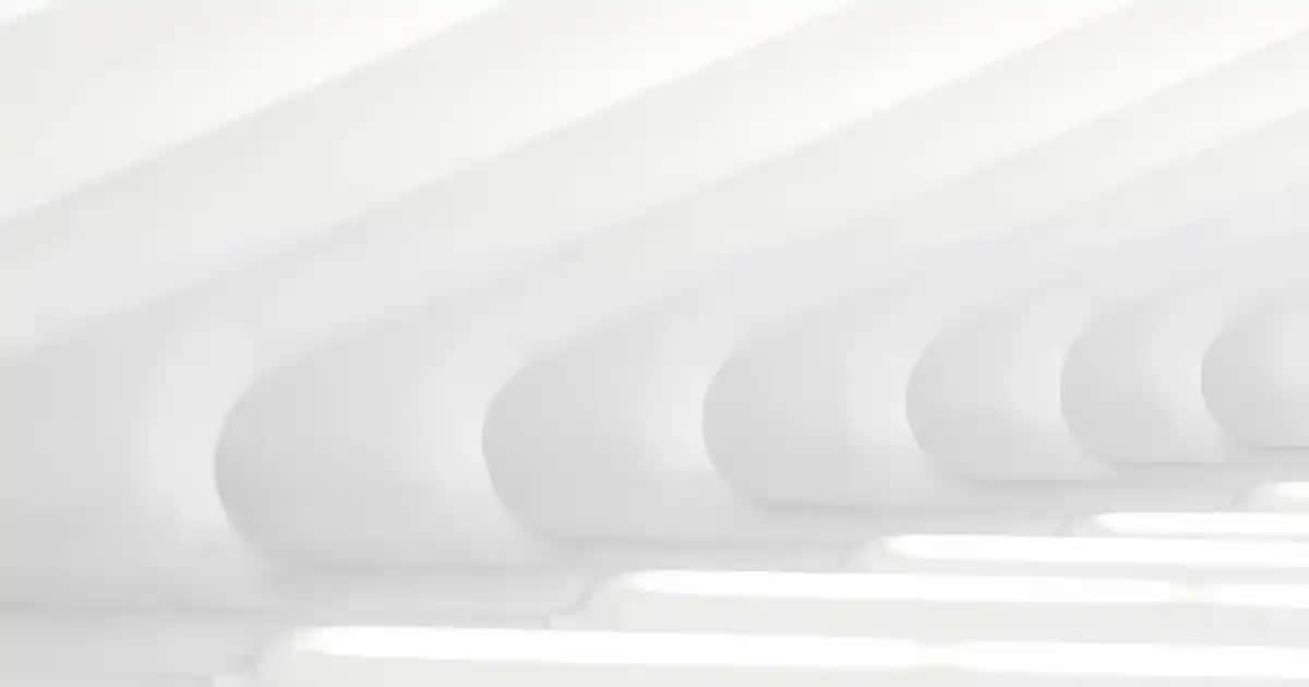 Morocco halıların özellikleri ve dekorasyonda kullanımı hakkında kapsamlı bilgi