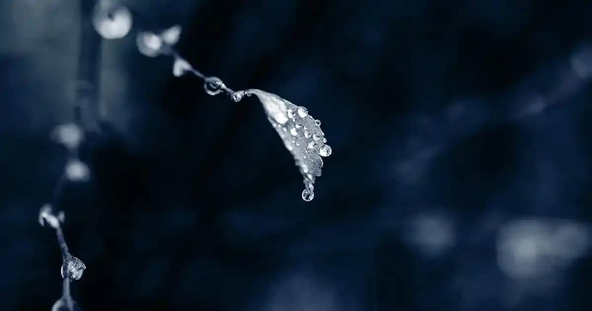 Müslin Battaniye Nedir ve Dekorasyonda Nasıl Kullanılır