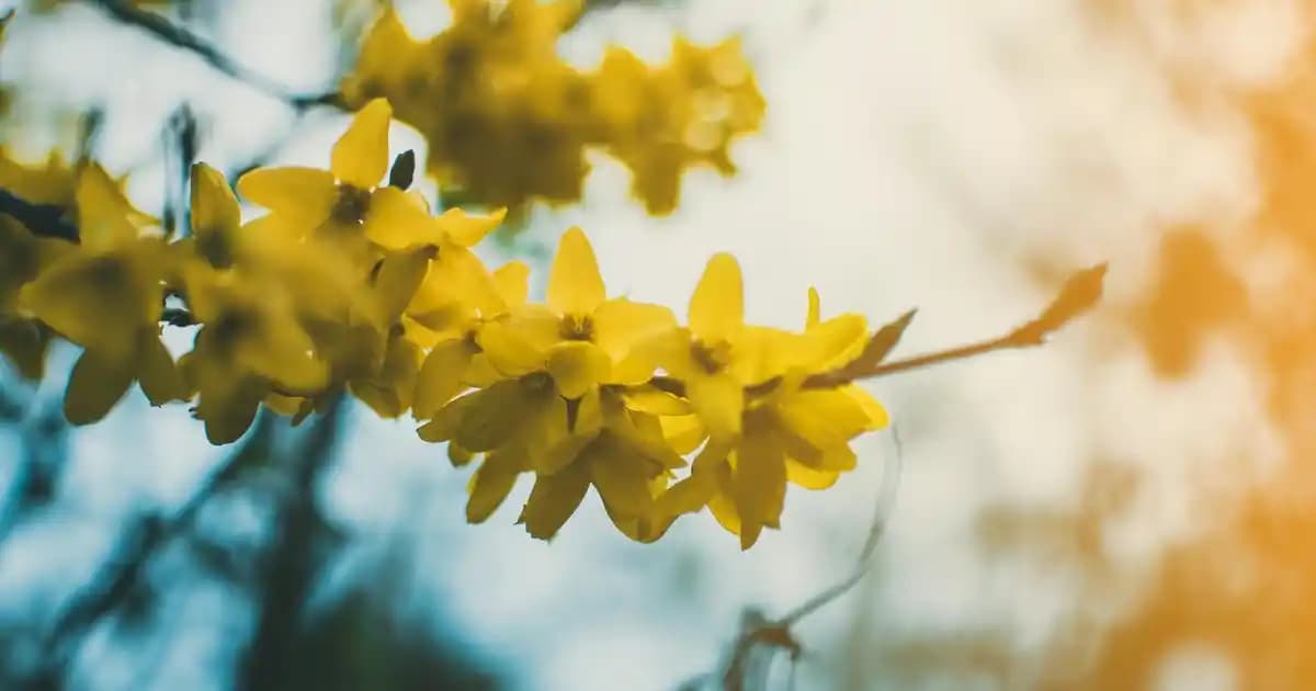 Mutfak Dekorasyonunda Led Avize Seçenekleri ve Modern Aydınlatma Çözümleri