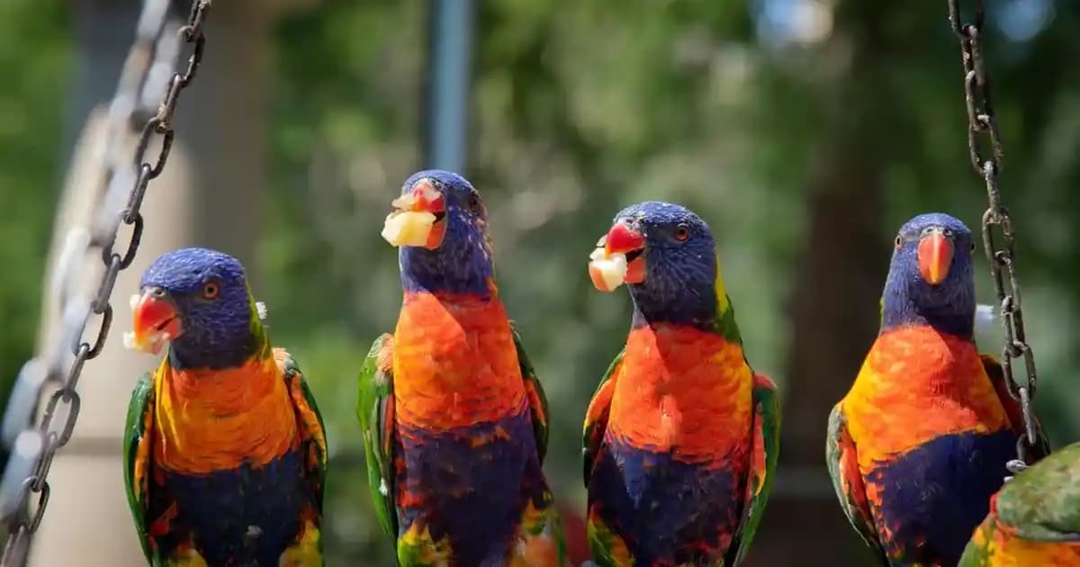 Mutfak Dekorasyonunda Şıklık ve İşlevsellik İçin Halı Örtüsü Seçenekleri ve Trendler