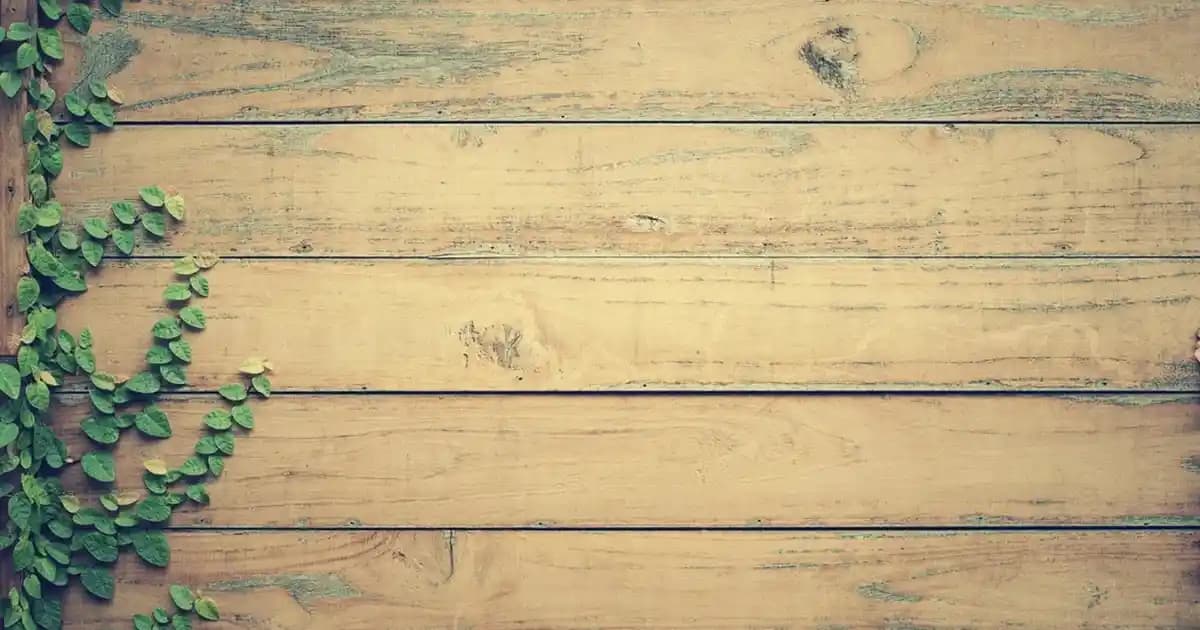 Mutfak Dekorasyonunu Zenginleştiren Dekoratif Baharat Takımları Seçenekleri ve Trendleri