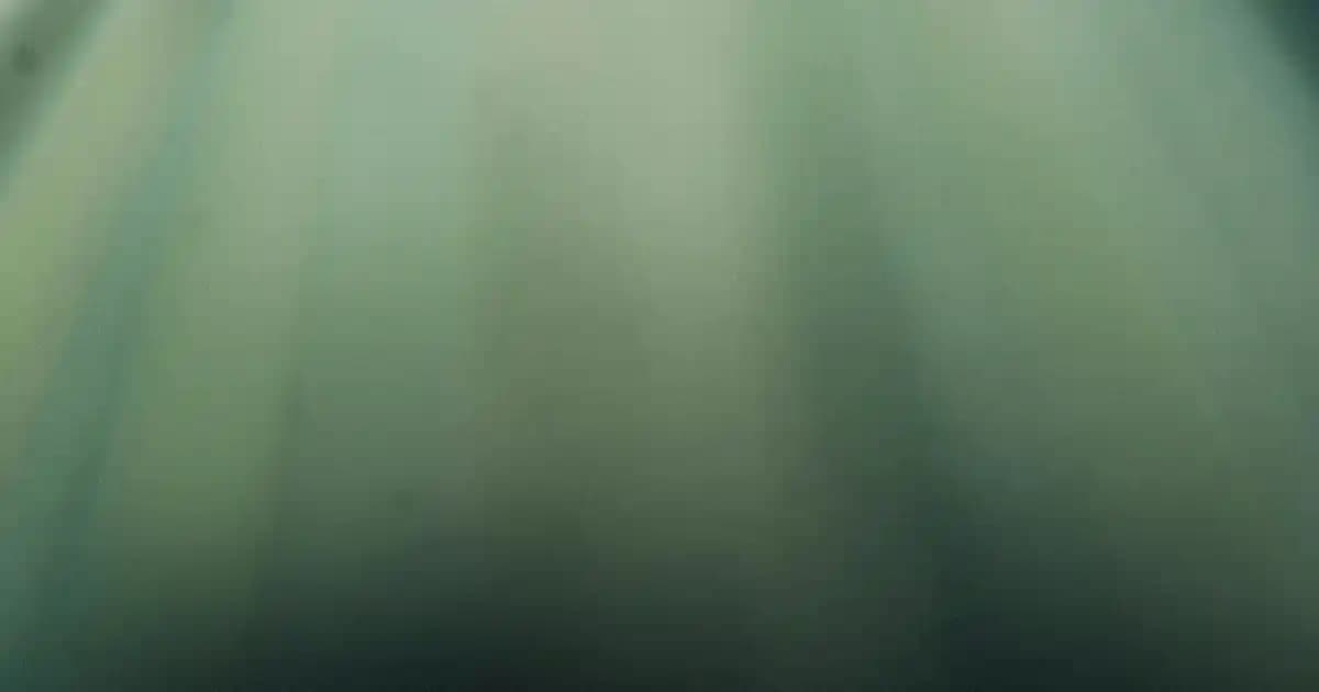 Nostaljik Tel Dolaplar: Vintage ve Retro Tarzıyla Dekorasyonda Şık Seçenekler