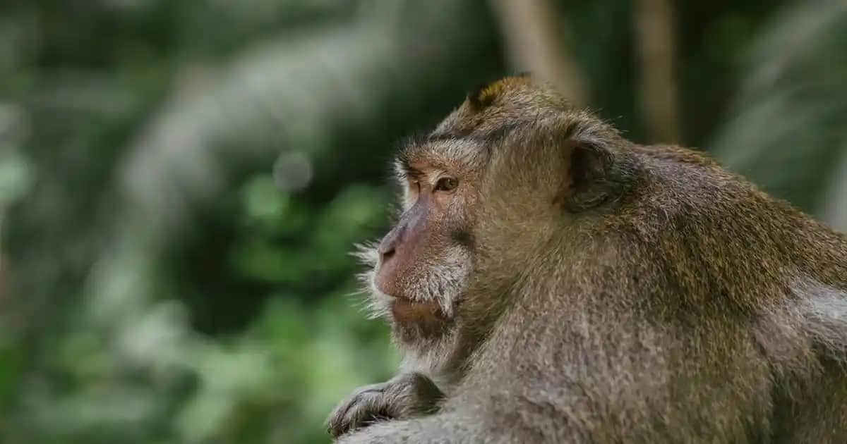 Oturma Odası Dekorasyon Ürünleriyle Şık ve Konforlu Mekanlar Yaratın