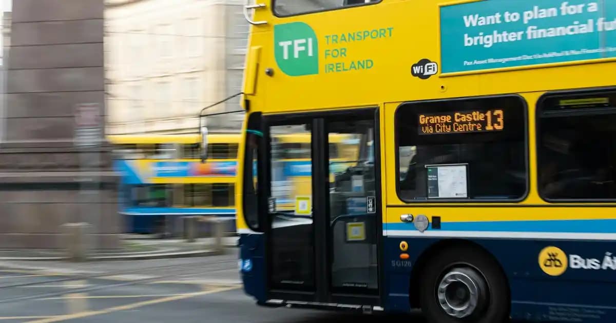 Oval Salon Halıları Dekorasyon ve Estetik İçin Uygun Modern ve Klasik Modeller