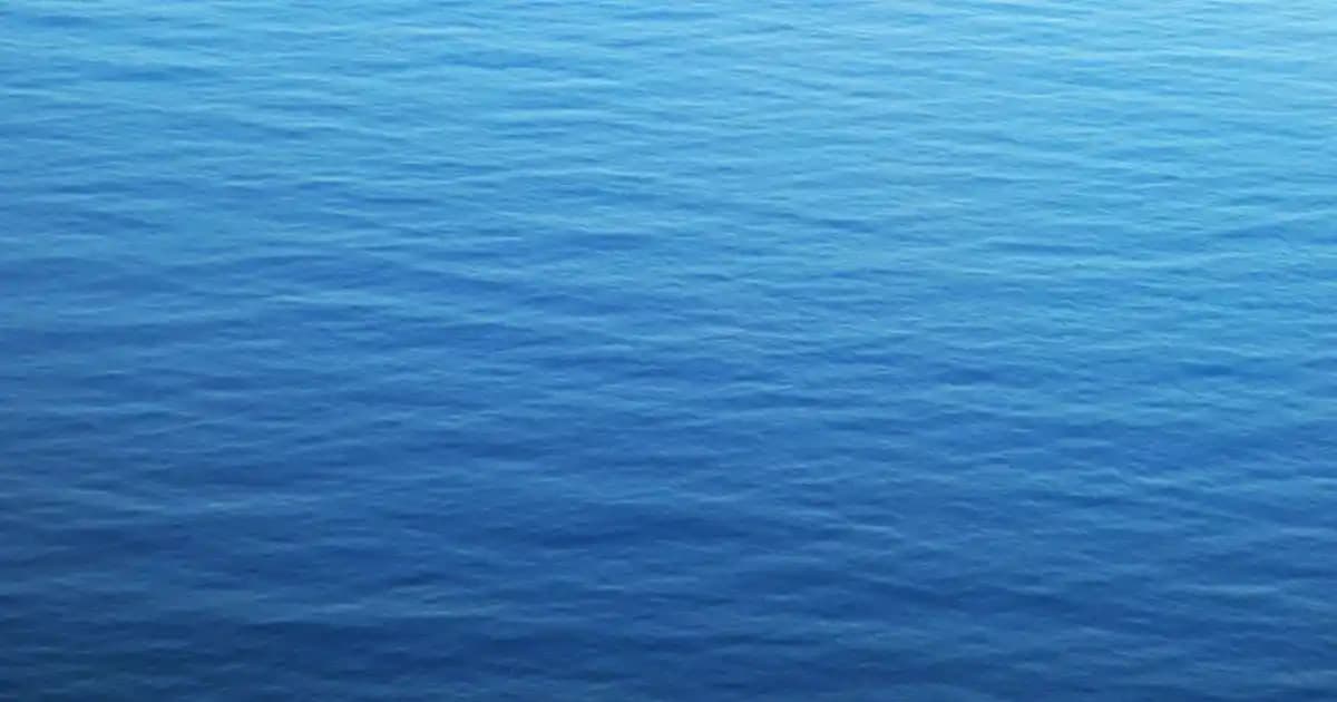 Pamuk Halı Yorumları ve Dekorasyonda Konfor ile Şıklığın Buluşması