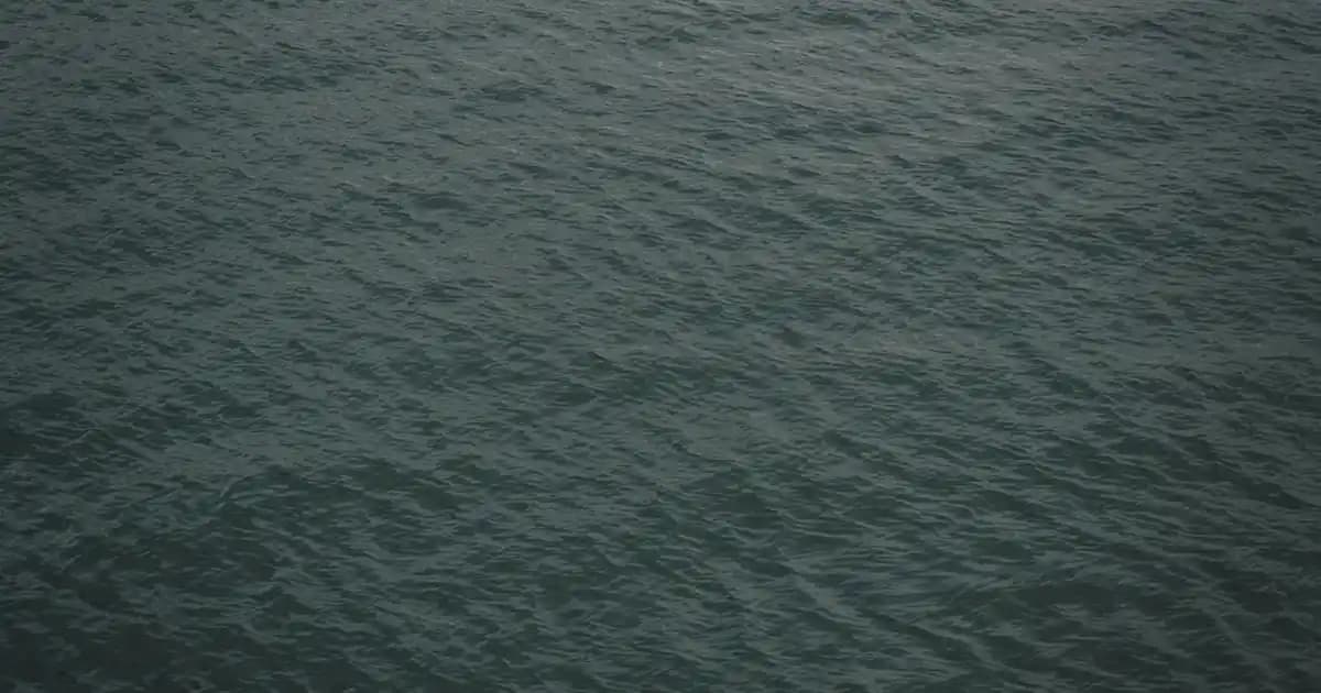 Pamuk Halılar ile Dekorasyonunuza Doğal Şıklık ve Konfor Katmanın Yolları