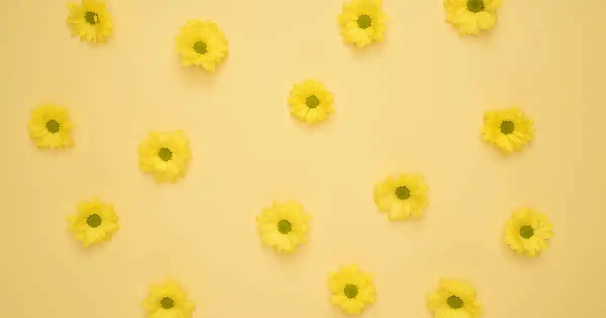 Pembe ve Beyaz Duvar Kağıdı ile Modern ve Şık Dekorasyon Seçenekleri