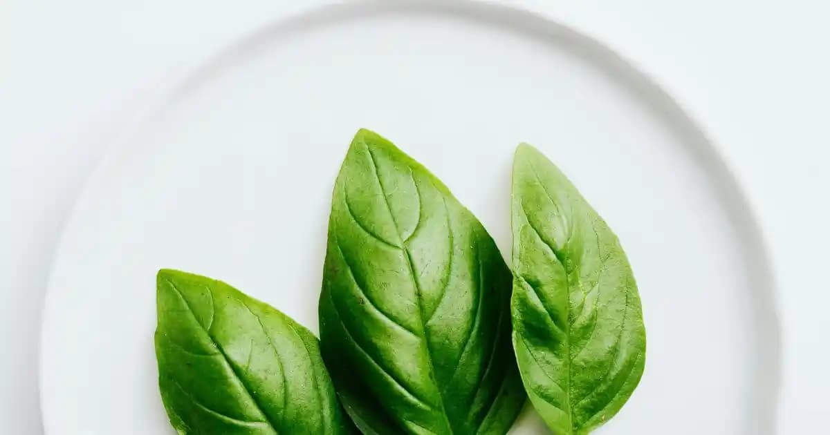 Perde Asma Borusu Seçimi ve Dekorasyonda Kullanım İpuçları