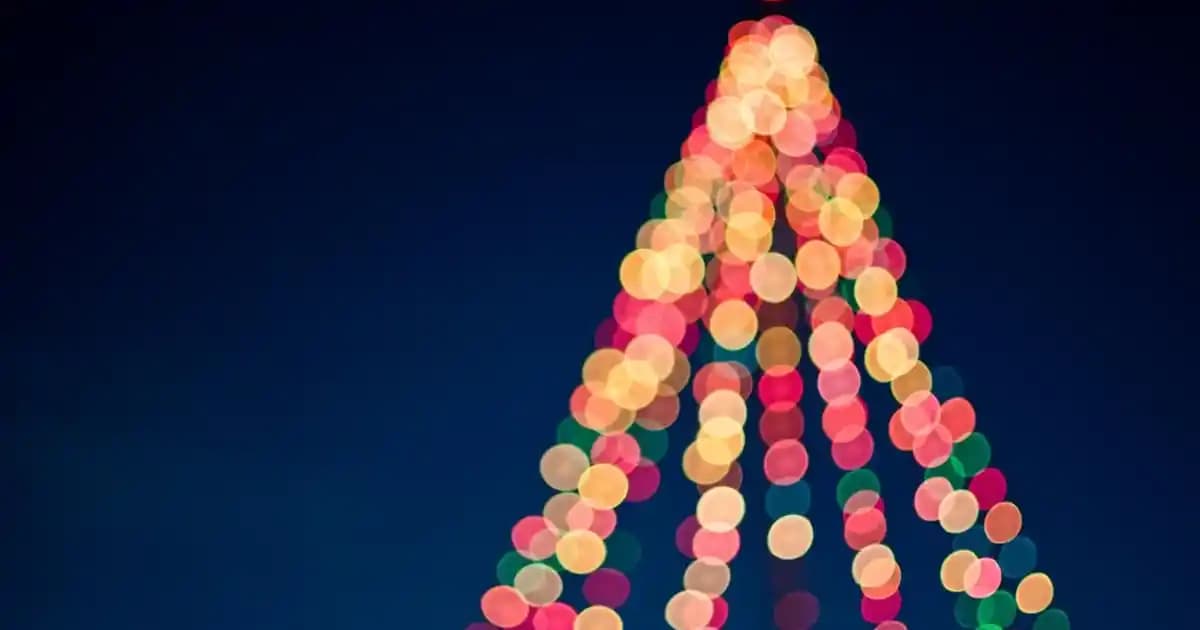 Petrol Mavisi Halı Modelleri ile Modern ve Canlı Dekorasyonlar Yaratın