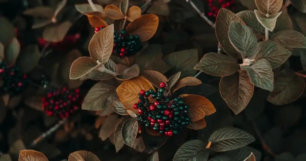 Plastik Uzun Vazolar ile Modern ve Şık Dekorasyon Çözümleri