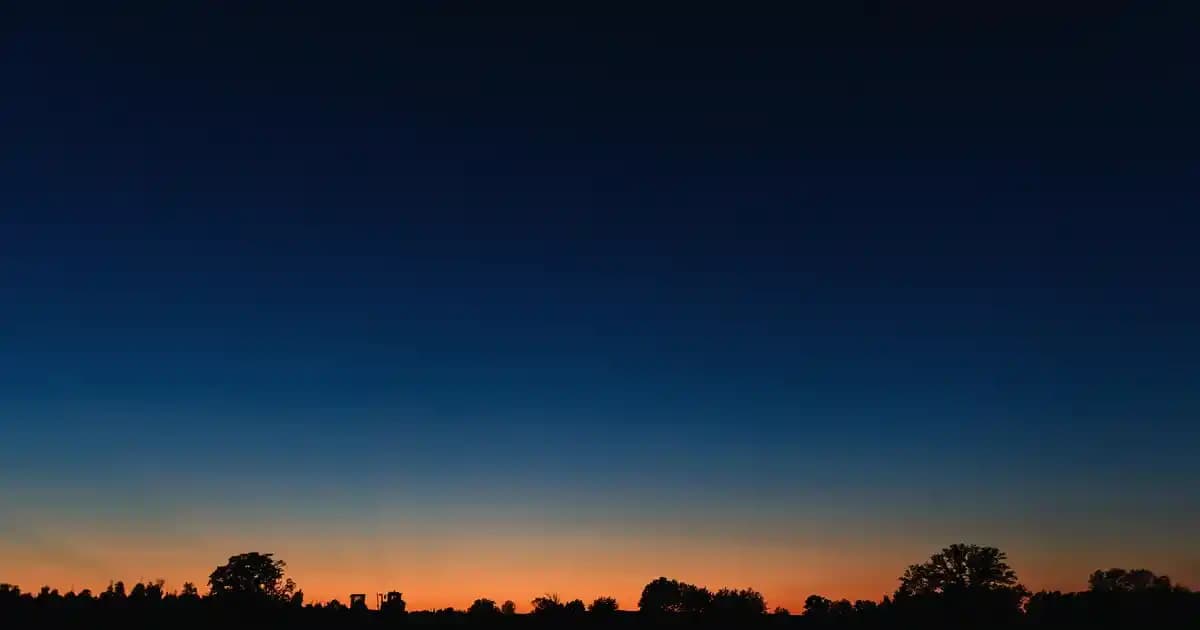 Post Halı Kullanım Alanları ve Dekorasyonda Estetik Fark Yaratma Rehberi