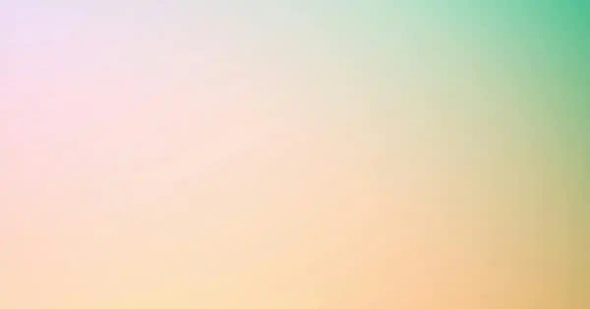 Rafya Dekorasyon Trendleri ve Kullanım Alanları Hakkında Detaylı Rehber