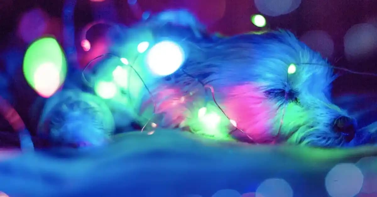 Rani Mobilya Konsol Modelleri ve Fiyatlarıyla Modern ve Şık Dekorasyon Çözümleri