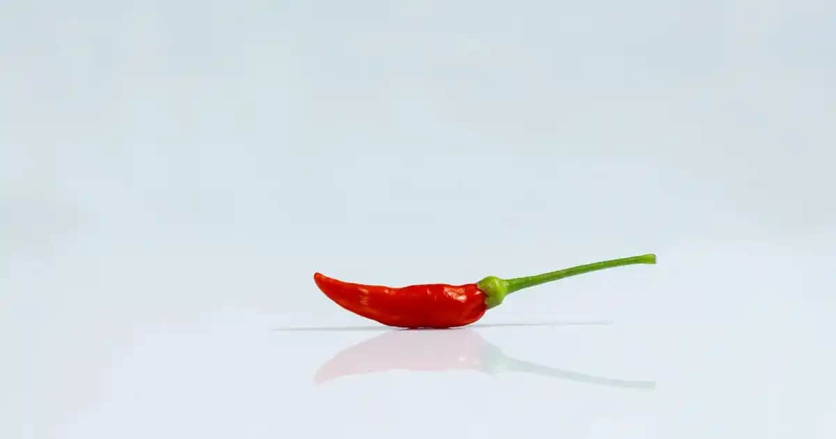 Rattan Görünümlü Plastik Masa ve Sandalye Takımları ile Dekorasyonunuzu Yenileyin