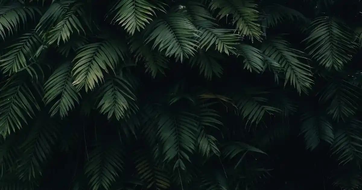 Sade Yatak Örtüsü Trendleri ve Modern Yatak Odası Dekorasyon İpuçları