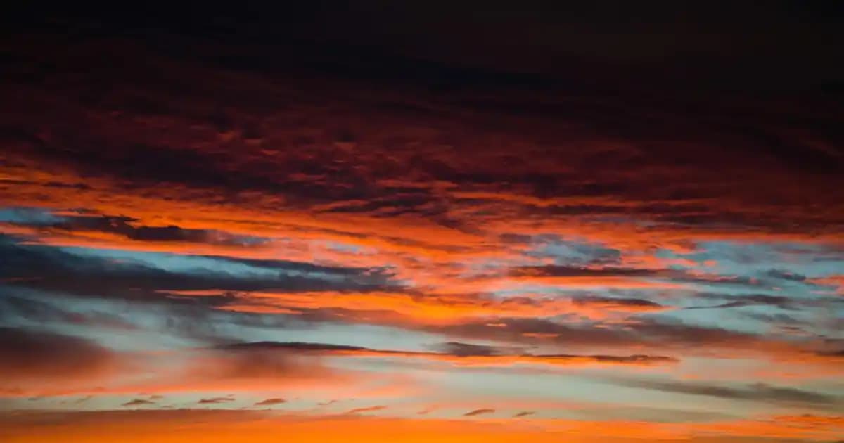 Salon Dekorasyonuna Uygun Avize Modelleri ve Seçim Rehberi