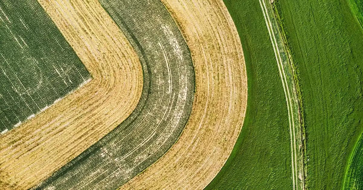 Salon Masası Aksesuarlarıyla Dekorasyonda Fark Yaratmanın Yolları ve En Popüler Seçenekler