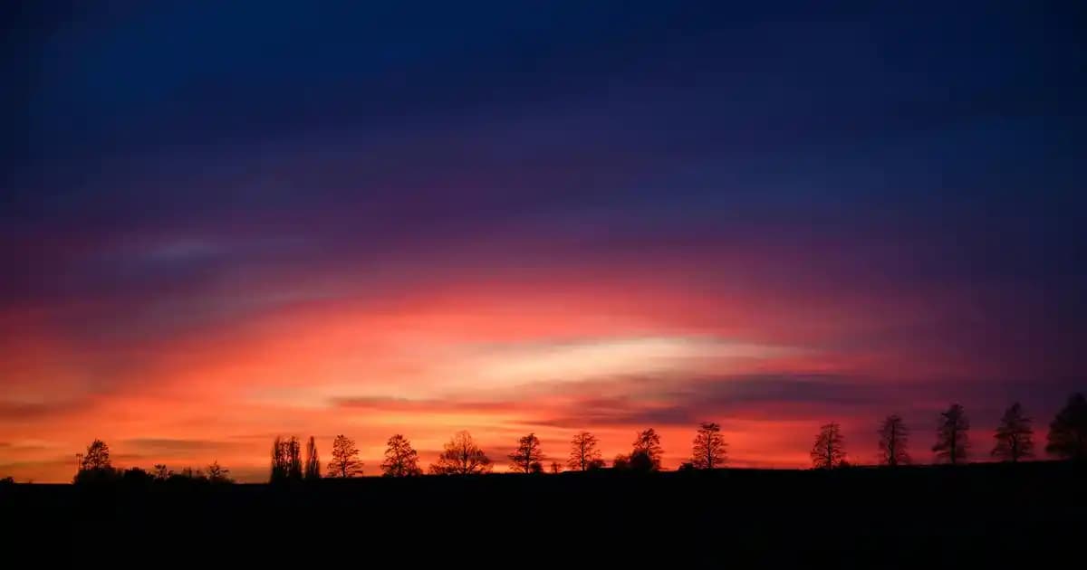 Şarap Karafları: Dekorasyon ve İşlevselliğin Birlikte Sunulduğu Zarif Seçenekler