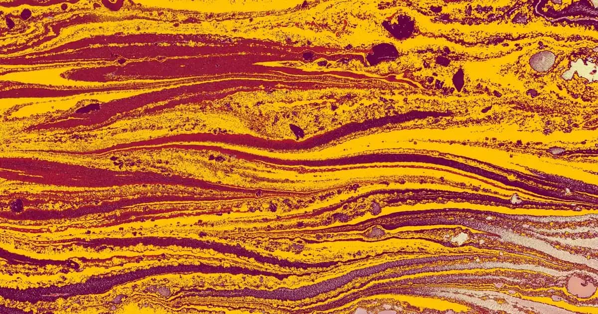 Şarap Karafları ile Dekorasyonun Şıklığını ve İşlevselliğini Artırma Yöntemleri