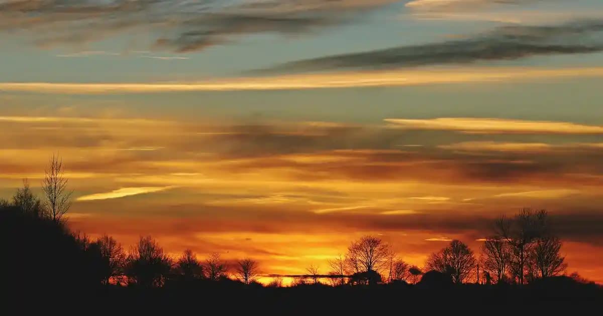 Sarı-Gri Halı Modelleriyle Modern ve Şık Dekorasyon Çözümleri