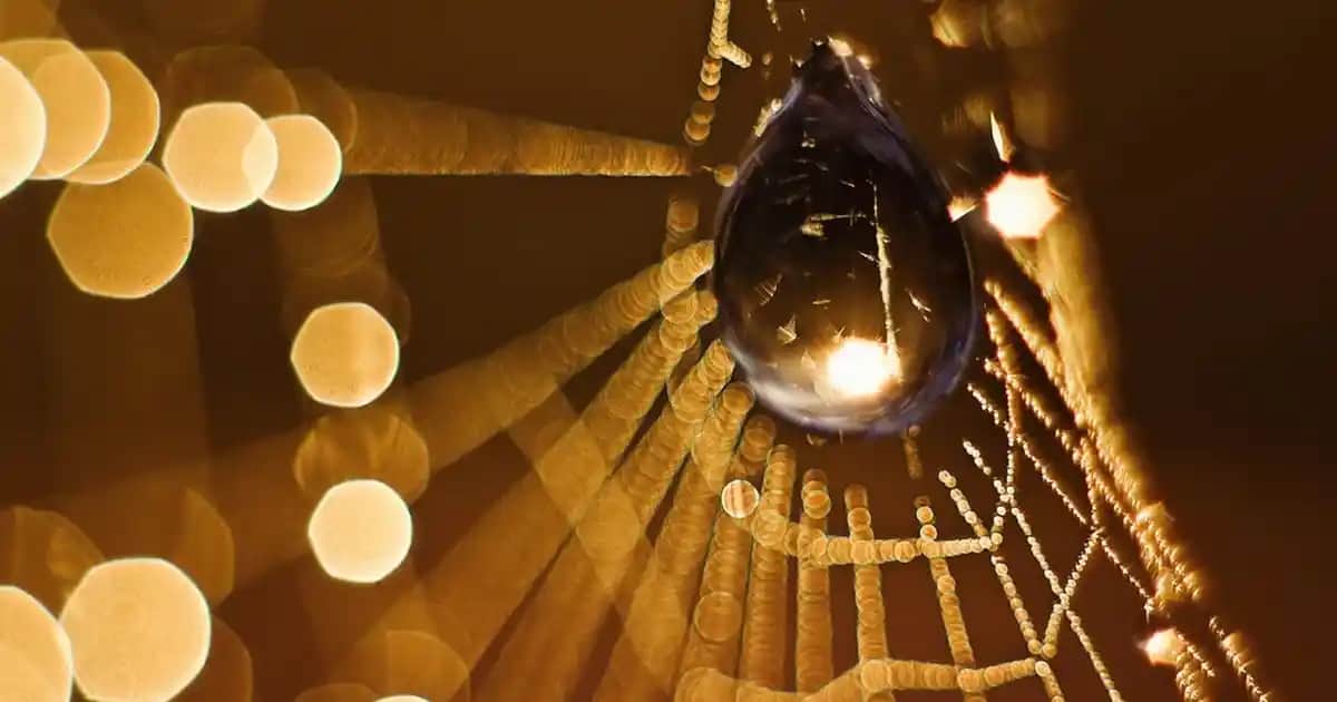 Şehir ve Ev Dekorasyonunda Şık ve Fonksiyonel Sokak Lambası Lambaderleri