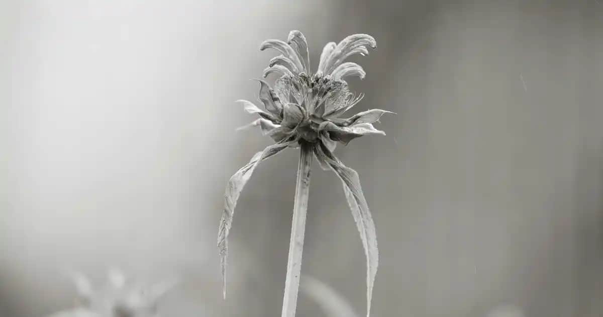 Sehpa Camı Kestirme İşlemleri ve Dekorasyonda Kullanım Rehberi